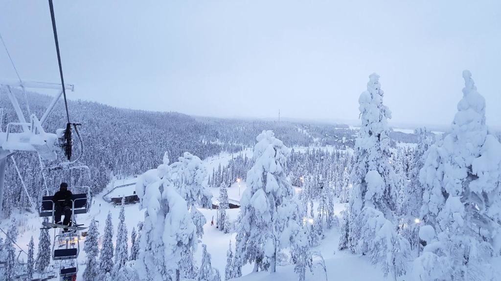 Дома для отпуска Ylämaja - with a stunning view Рука