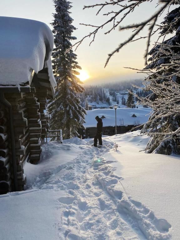 Дома для отпуска Ylämaja - with a stunning view Рука