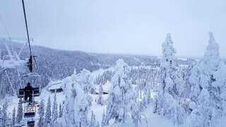 Дома для отпуска Ylämaja - with a stunning view Рука Дом для отпуска-49