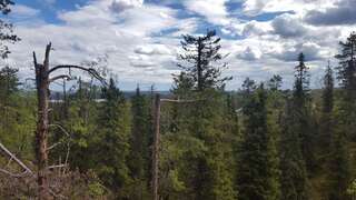 Дома для отпуска Ylämaja - with a stunning view Рука Дом для отпуска-63