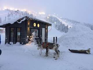 Дома для отпуска Ylämaja - with a stunning view Рука Дом для отпуска-65