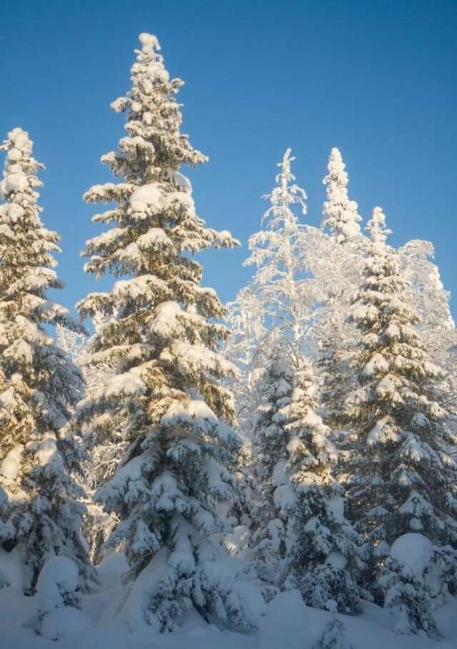 Дома для отпуска Ylämaja - with a stunning view Рука-53