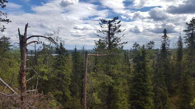 Дома для отпуска Ylämaja - with a stunning view Рука-65